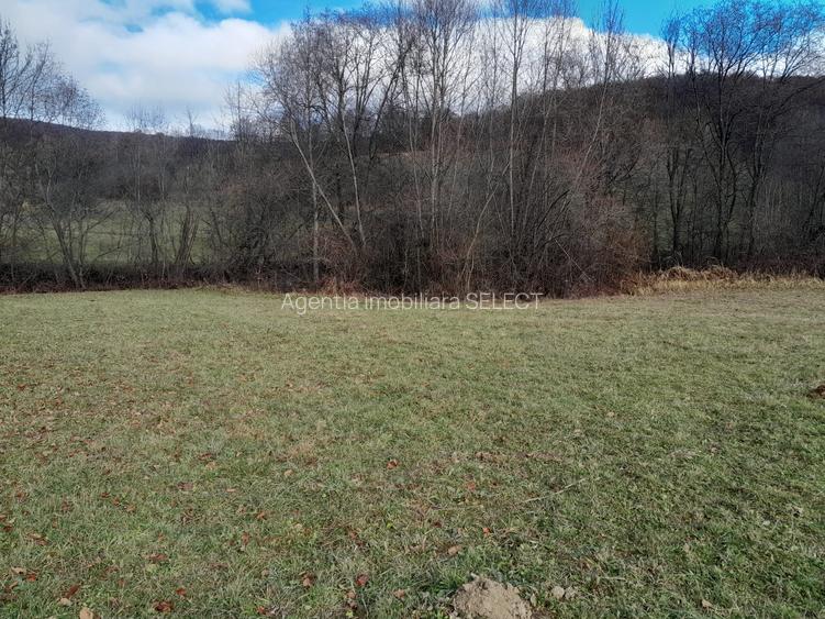 Teren Intravilan Ideal Pt Casa de Vacanta ,Valea Dobarlaului - 5