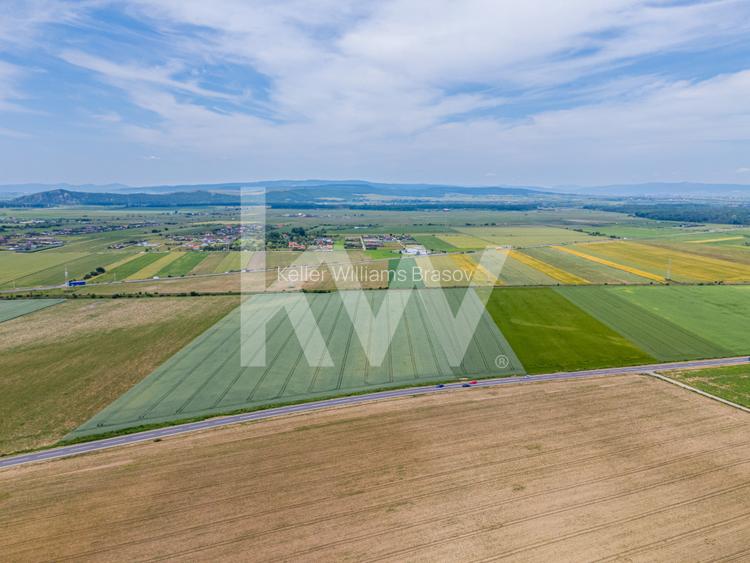 Teren de vanzare I 8 Euro/ mp I Deschidere la drum - Harman - 8