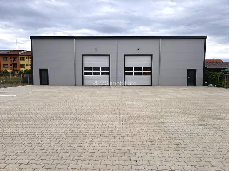 Hala moderna /Curte privata /Productie / Depozitare - 3