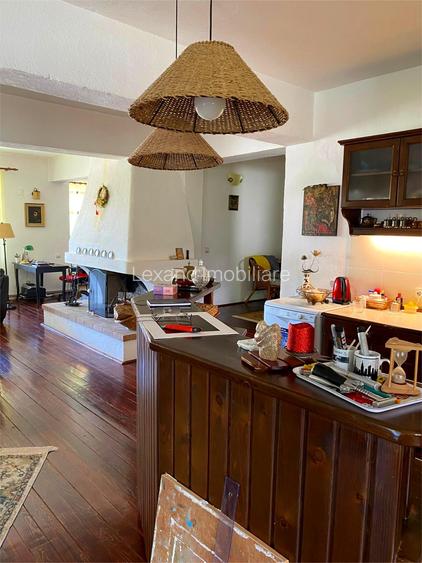 Casa  P+M, cu teren de 9721 mp - 3