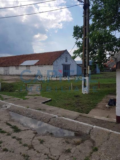 Ferma langa Oravita 5600 mp construiti si teren 24281 intravilan - 3