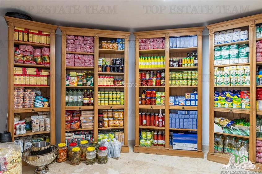 Vila Premium - in proximitatea Padurii Baneasa - 23