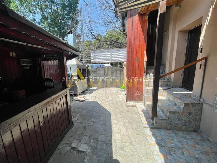 Brancoveanu-Nitu Vasile | Casa Individuala- D+P+1+M - 14