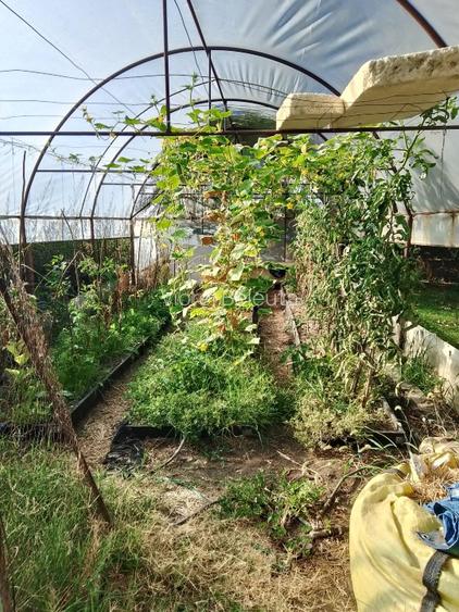 Casă P+1 cu teren 700 mp, panouri solare, aproape de București Livedea, Ialomița - 3