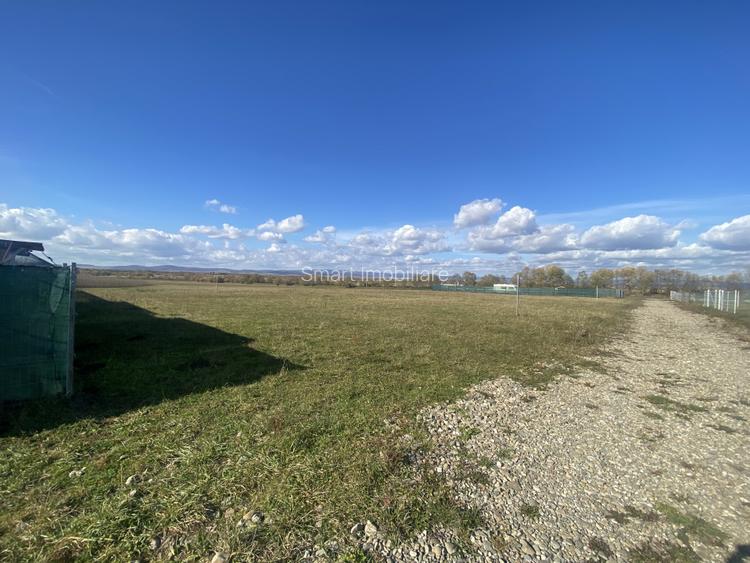 Teren Intravilan 1000 mp Bicfalau - 7