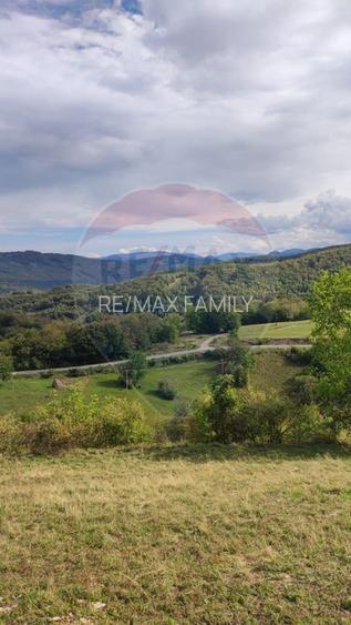 Teren intravilan constructii 3082 mp Damis Bratca drum DJ 764D - 18