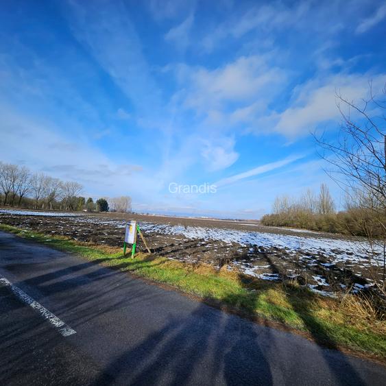 Teren intravilan - Str. Vasile Goldis, ideal pentru ansamblu rezidential - 5