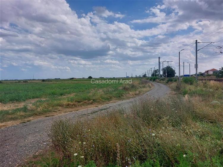 Ocazie!!! Teren cu PUZ pentru hala in Sofronea! - 5