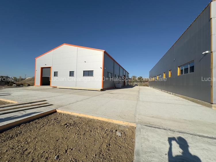 Hala de la 583mp la 1166, Letcani, aproape de Metro - 7