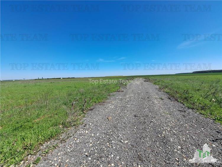 Loturi teren de vanzare Branesti/Vadu Anei - 13