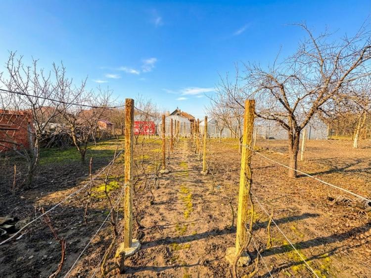 Comision 0% | Casă 155 mp + teren 701 mp | Ciacova | Reprezentare Exclusivă - 3