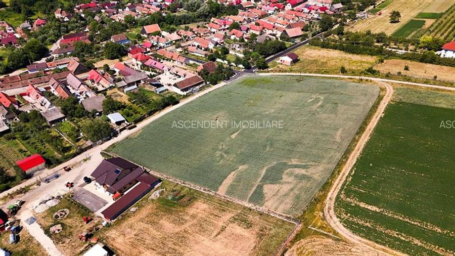 6 loturi casa Maierus,1.375mp,langa DN13, Doripesco,Brasov: 35min, zona verde:FI - 21