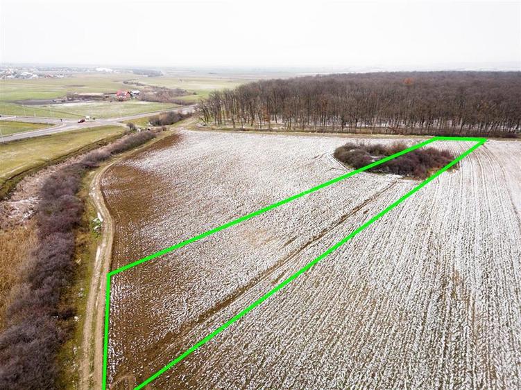 RECO Teren extravilan Nojorid langa Inelul Metropolitan - 4