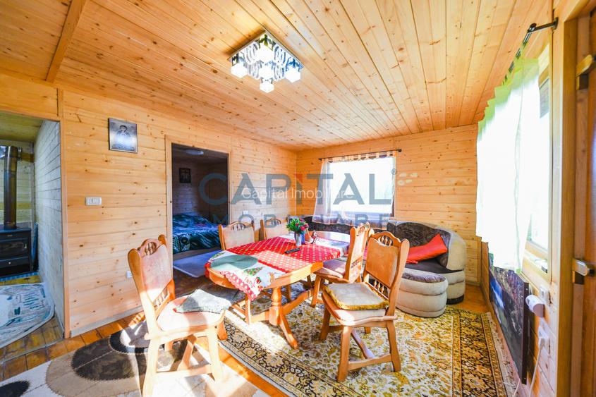 Casa cu teren de 3100 mp de vanzare in comuna Cornesti - 4