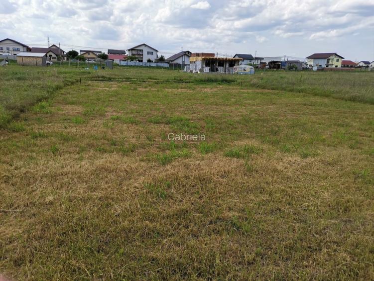 Teren de vânzare comuna Berceni  - 6