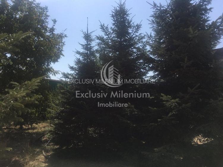 Casa la Padurea Rosu 650 Mp + Teren ideal Activitati Comerciale/Birouri - 5