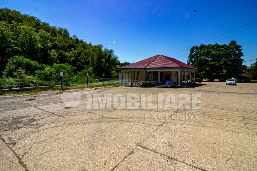 Spatiu comercial - Moldova Noua, Caras Severin COMISION 0% - 10