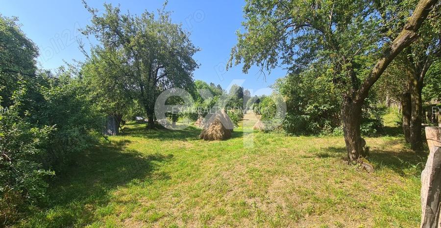 Teren în comuna Corbeni - 9