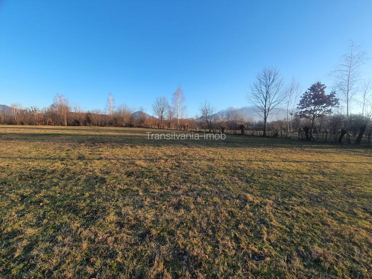 Teren intravilan Bran – Sohodol zona de case - 3