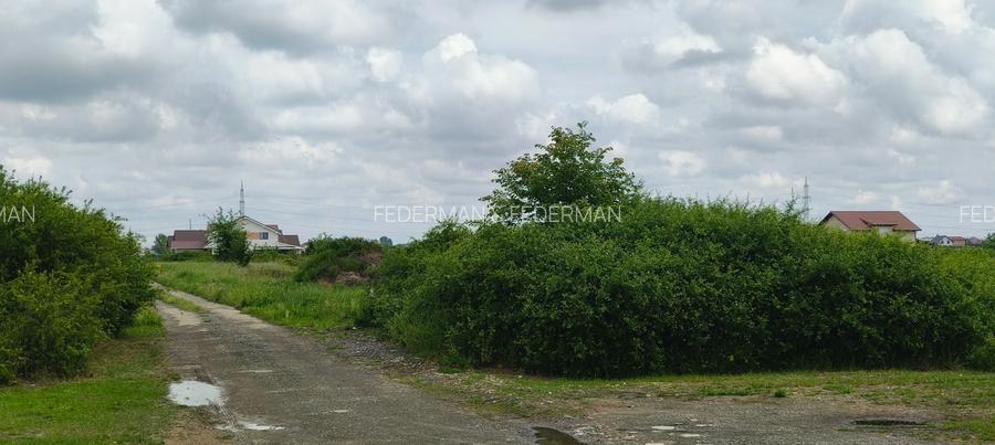 Teren Intravilan Moșnița Noua - 6