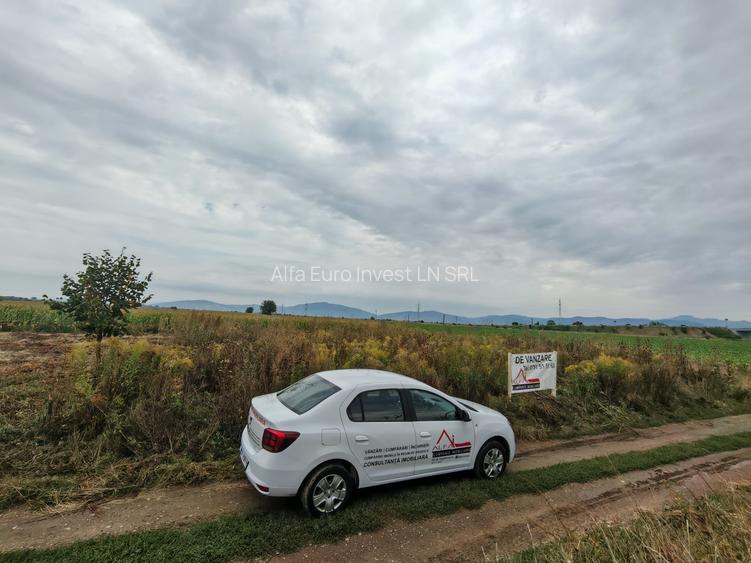 Teren de Casa - Harman - Brasov - 3