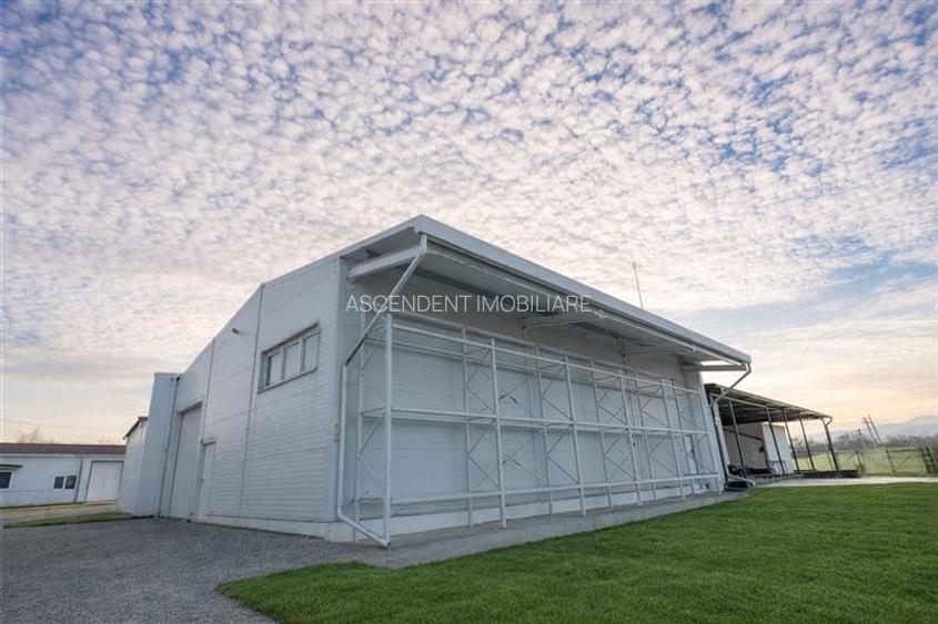 Parc industrial modernizat, acces bilatera, potential remarcabil, Sfantu Gheorgh - 5