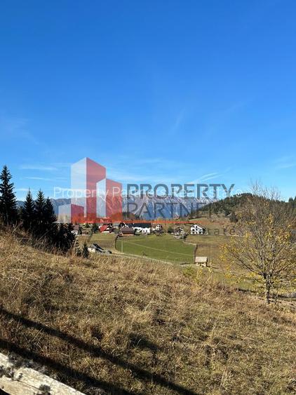 Teren Fundatica intravilan 4500 mp - 18