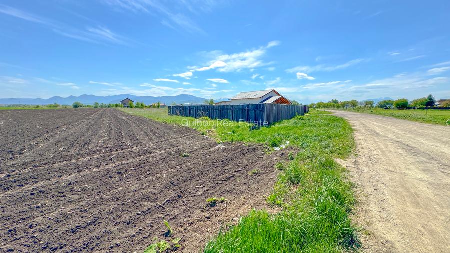 Teren intravilan, 1.7 hectare, Stupini Strada Barsei - 7