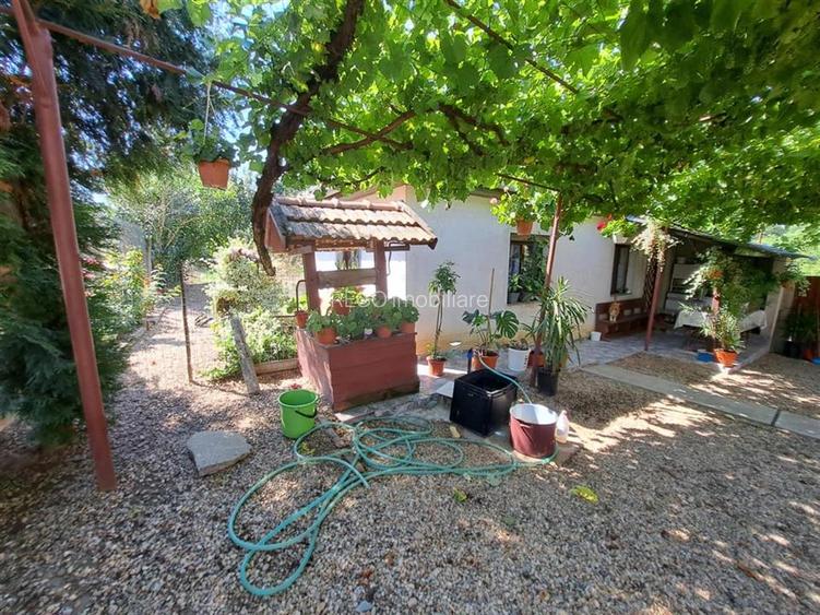 RECO casa dubla Cadea - 25