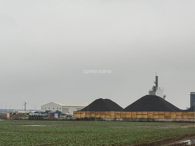 Teren intravilan pretabill construcție hale – Săbăreni, Buftea, Ilfov  - 3