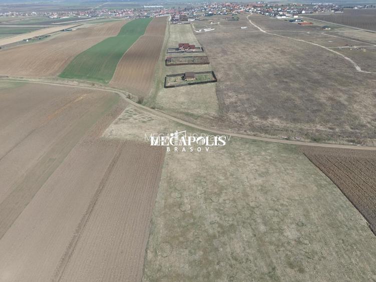 Teren Bod 1200mp/ 37 euro mp - 4