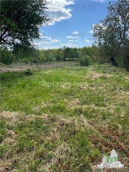 Casa si teren localitatea Posta jud Tulcea - 2