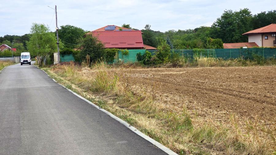 The Forest Collection -LOT 500mp- Strada asfaltata | Padurea Snagov -Ciofliceni - 6