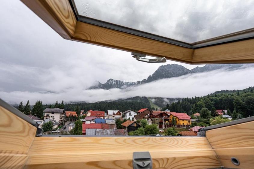 Vila turistica cu potential de neegalat - 13