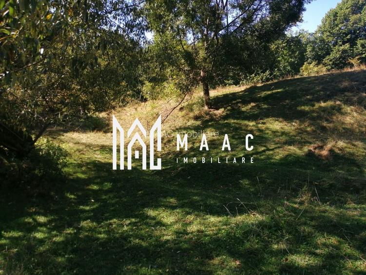 Teren Extravilan 20.000Mp I Stoenești -Vâlcea I Apă Curentă și Pădure - 7