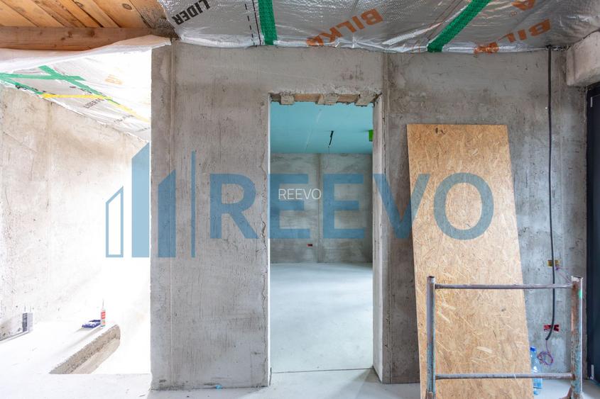 Casă/Vilă 500 mp Dumbrava Roșie, NT - 60