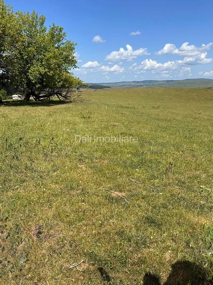 Teren extravilan 54.500 mp, lângă pădure, între Lovnic – Văleni - 6