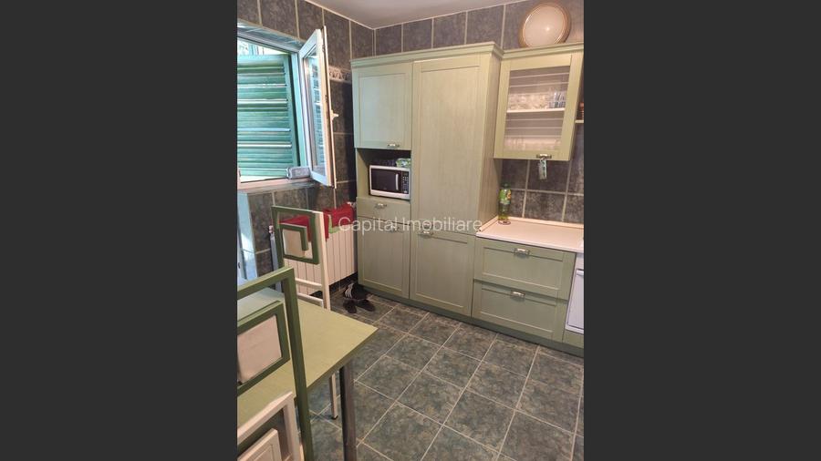 Vila superba 7 camere, Provita de Jos, 22.000 mp teren - 16