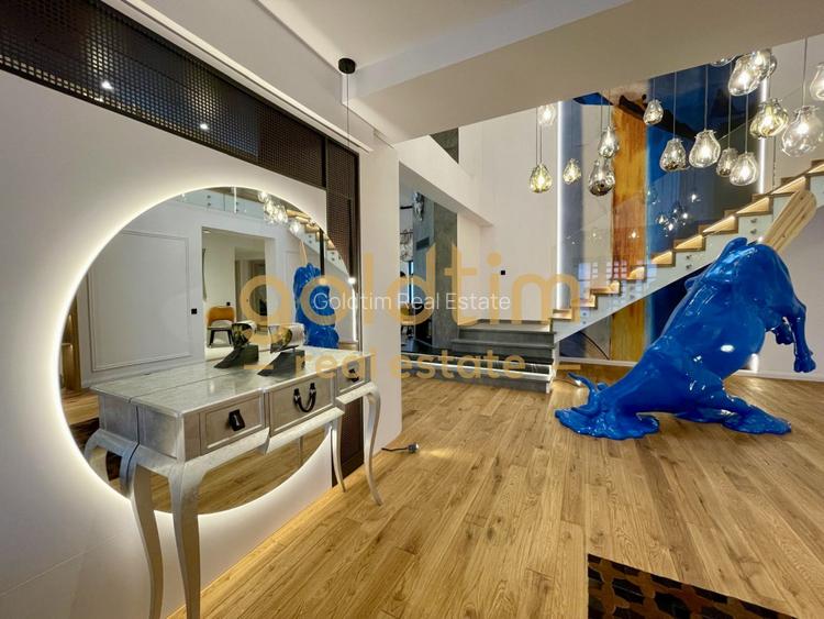 UNICA/ABSOLUT SUPERBA/ VILA INDIVIDUALA/IANCU NICOLAE/CURTE GENEROASA - 13