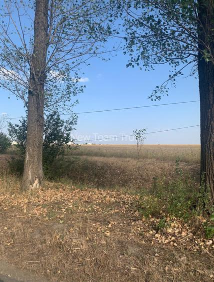 DJ200 Afumati Petrechioaia  Vanzare Teren intravilan -extravilan - 2