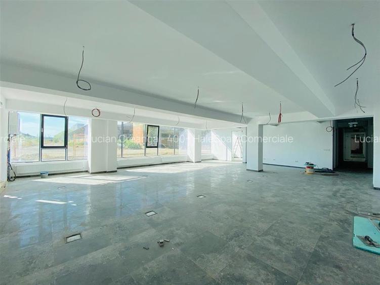 Hale Calea Chisinaului Iasi, aproape de Carrefour de la 65mp la 2000mp - 17