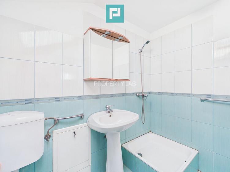 Casă individuală spre închiriat – Moșnița Nouă - 21