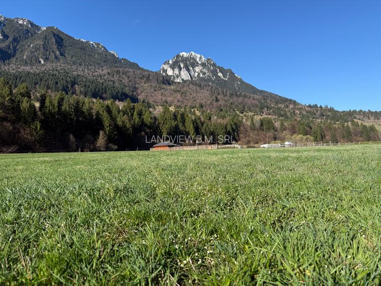 Teren intravilan In Zarnesti zona Plaiul Foii deschidere asfalt si priveliste - 4