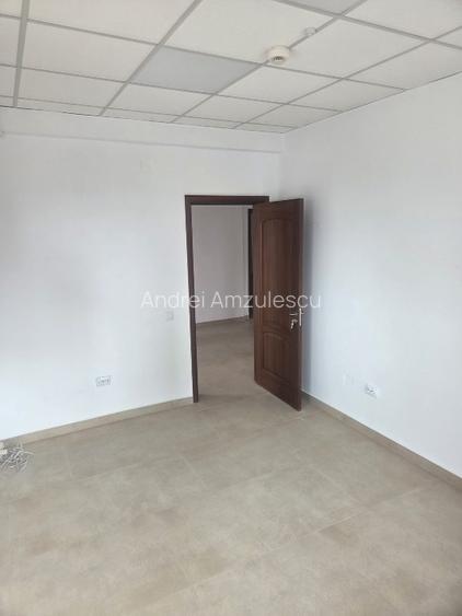 Spatiu 106 mp -ideal cabinete / birouri -compartimentat -- Calea Severinului  - 13