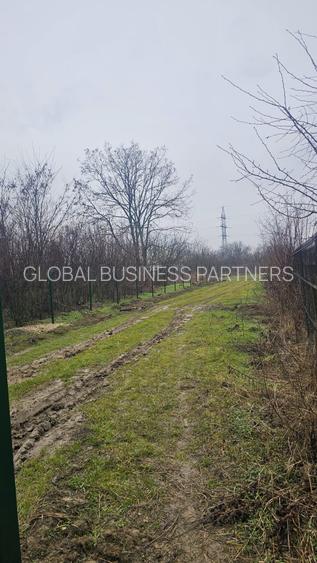 Teren Exclusivist 1000 mp cu deschidere 40 ml – lângă pădurea  Cornetu - 2