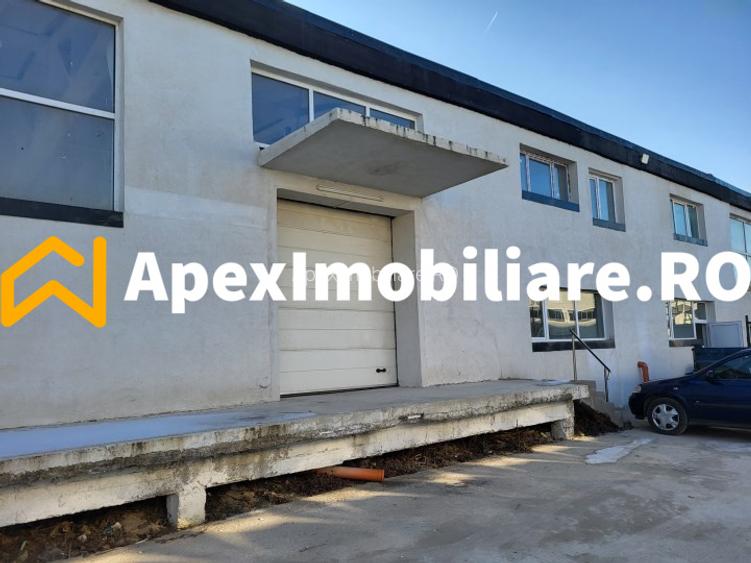 Hala Industriala Xenia – 1800 mp, Acces TIR, Parcare 50 Auto - 12