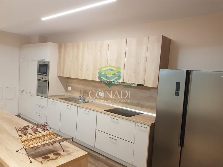 Aproape cu 4 camere  de închiriat Herastrau - 7