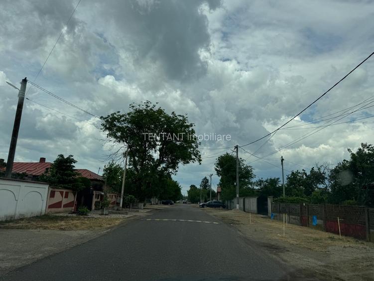 Vanzare Teren  intravilan 8000mp Adunati Copaceni Giurgiu - 8