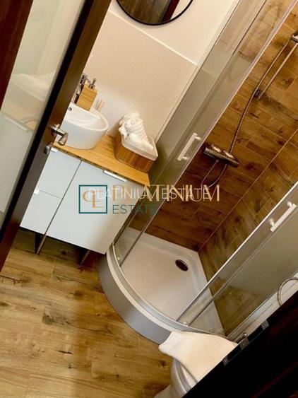 P906 Apartament 2 camere + Garsoniera , 2 unitati , ULTRACENTRAL ,zona pietonala - 11