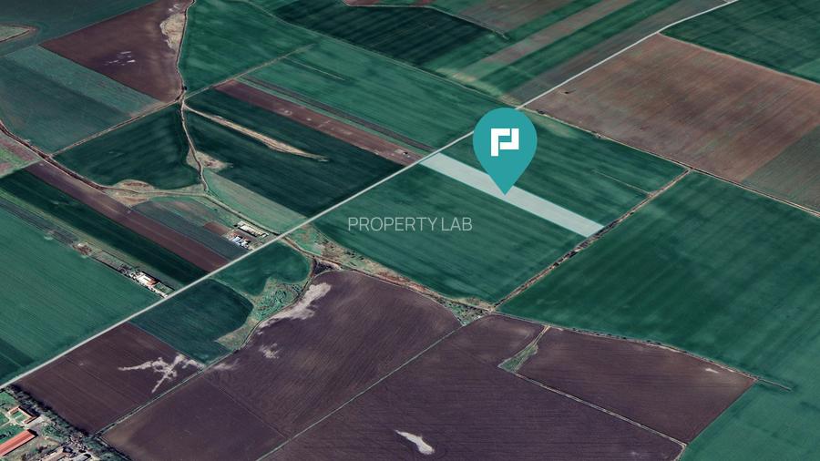 Teren 30.000 mp cu acces asfaltat – Peciu Nou - 4